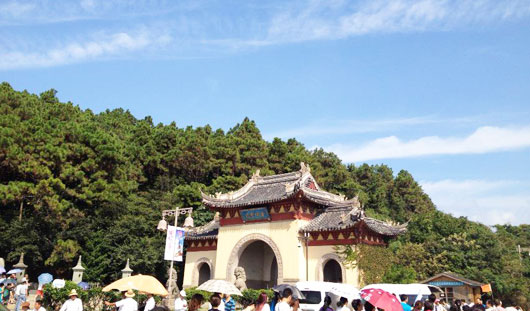 华瑞针纺织 踏青季节：普陀山一日游